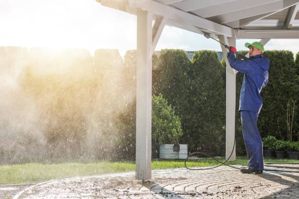 Best Gutter Cleaning  in Iraan, TX